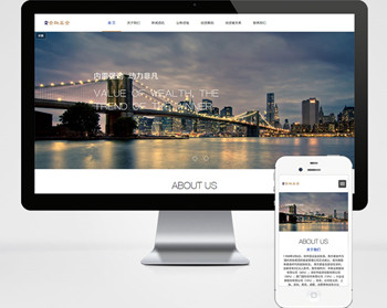 金融公司网站制作，展示型网站设计案例