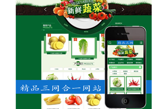蔬菜配送网站案例
